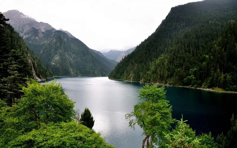 数字化电子创意